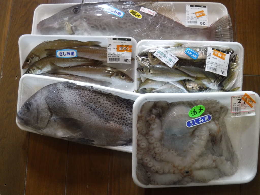 f:id:kab-log:20181202104915j:plain f:id:kab-log:20181202104915j:plain