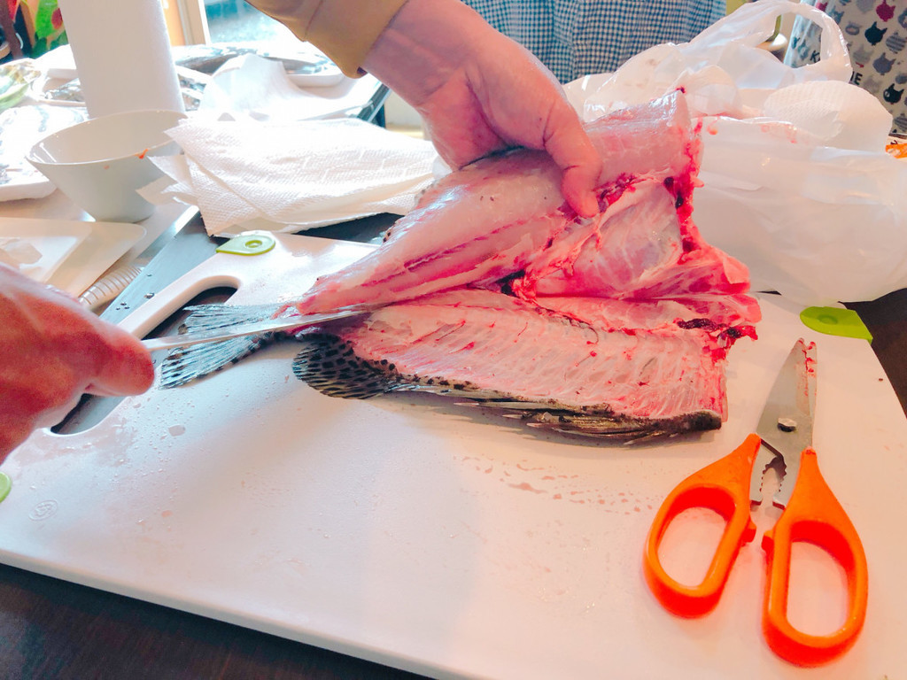 f:id:kab-log:20181204130059j:plain f:id:kab-log:20181204130059j:plain