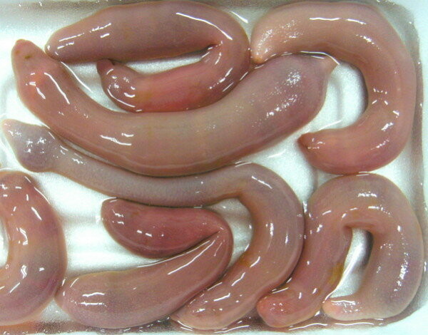 f:id:kab-log:20181205183242j:plain