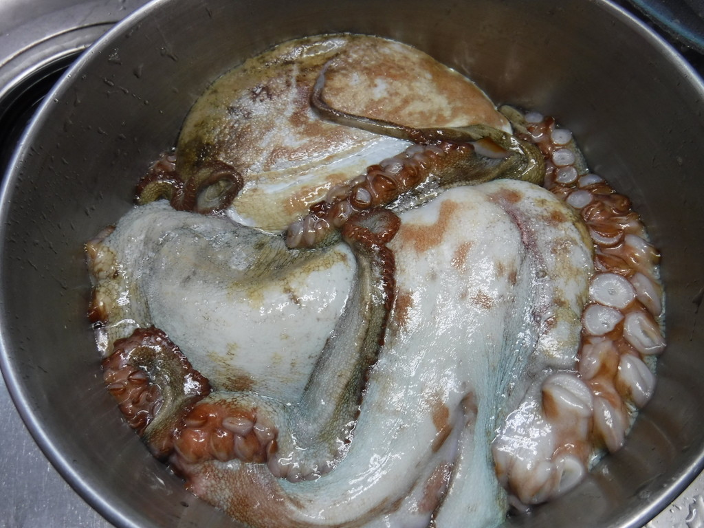 f:id:kab-log:20181208115746j:plain