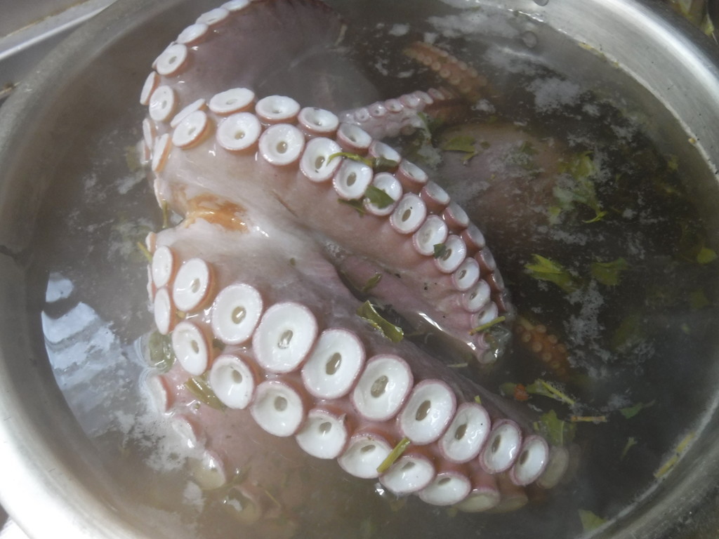 f:id:kab-log:20181208120554j:plain