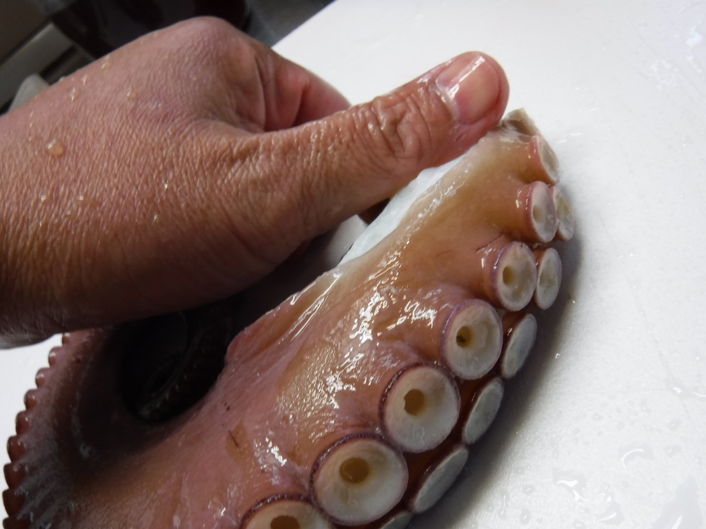 f:id:kab-log:20181208123242j:plain