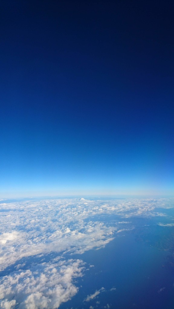 f:id:kab-log:20181213075941j:plain f:id:kab-log:20181213075941j:plain