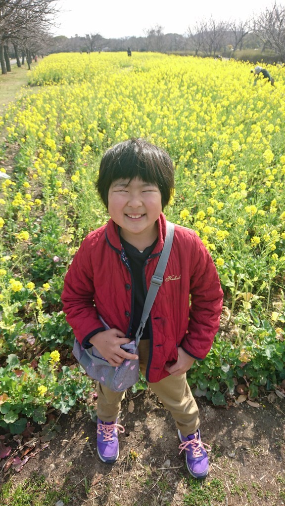 f:id:kab-log:20190224101924j:plain
