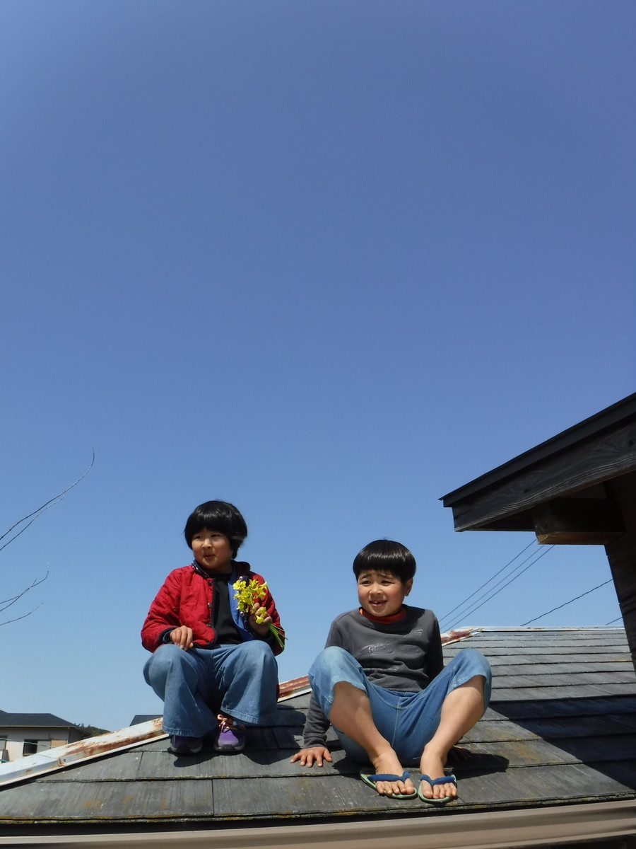 f:id:kab-log:20190316133243j:plain f:id:kab-log:20190316133243j:plain