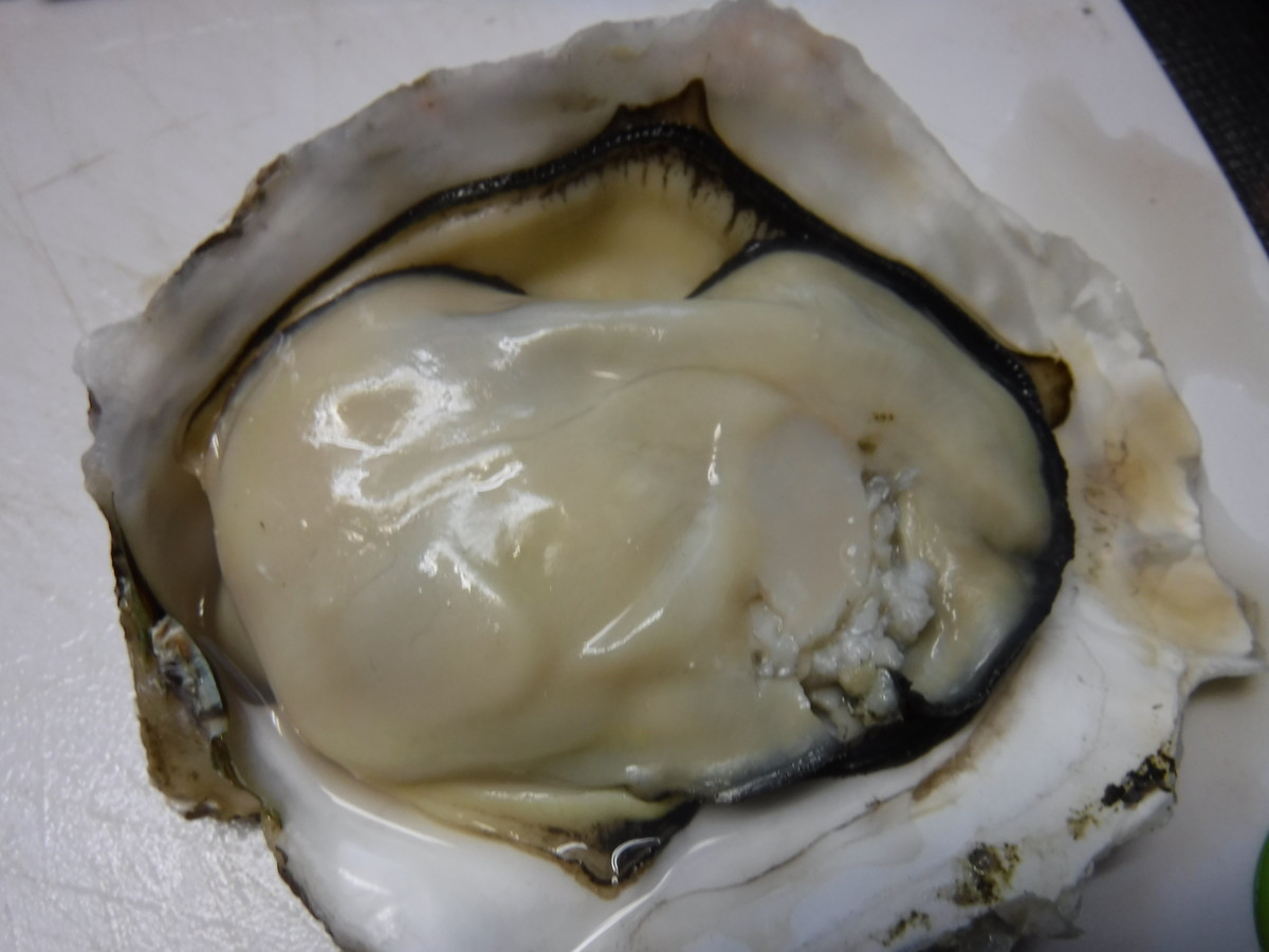 f:id:kab-log:20190327065606j:plain