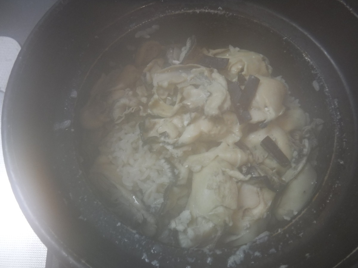 f:id:kab-log:20190327072036j:plain