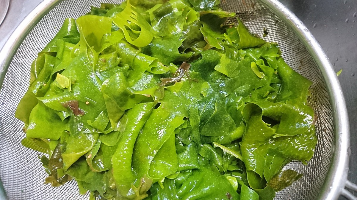 f:id:kab-log:20190406171148j:plain