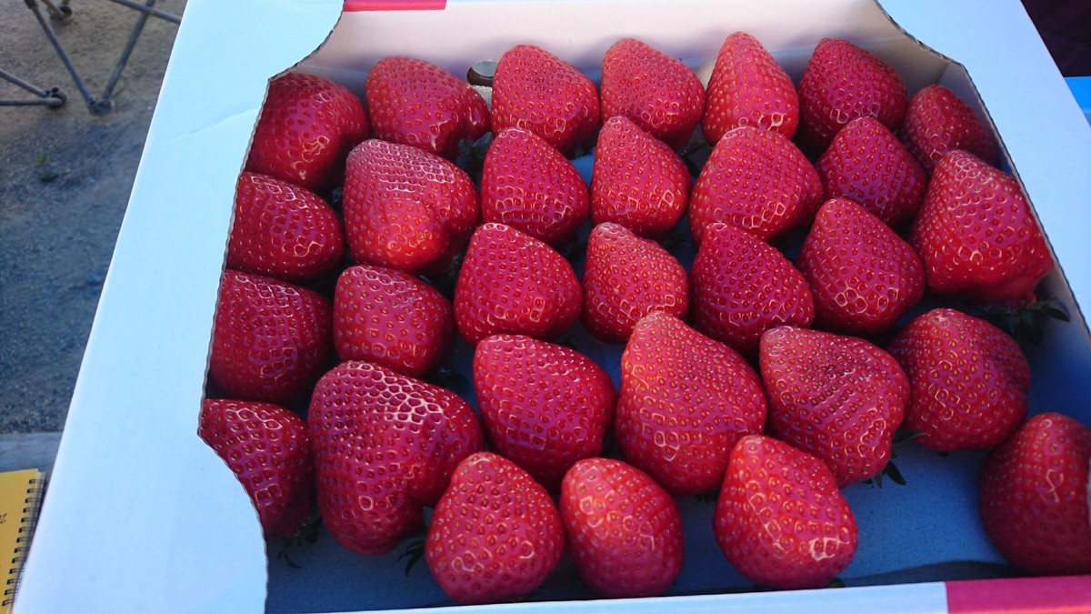 f:id:kab-log:20190415133223j:plain f:id:kab-log:20190415133223j:plain