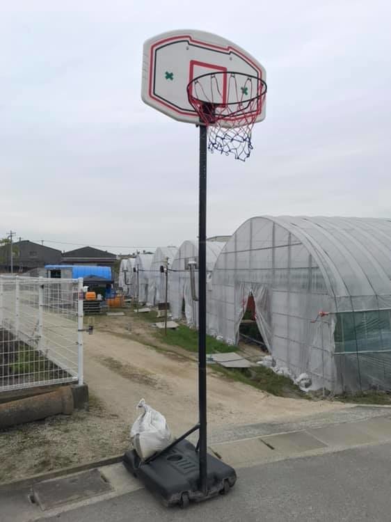 f:id:kab-log:20190415152853j:plain