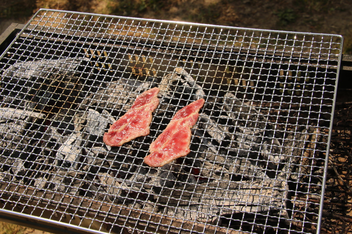 f:id:kab-log:20190420111108j:plain