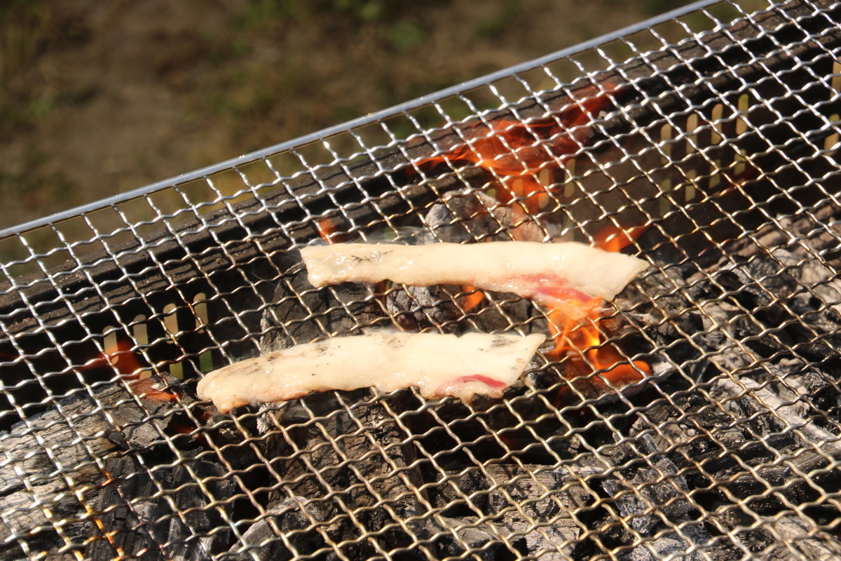 f:id:kab-log:20190420111547j:plain