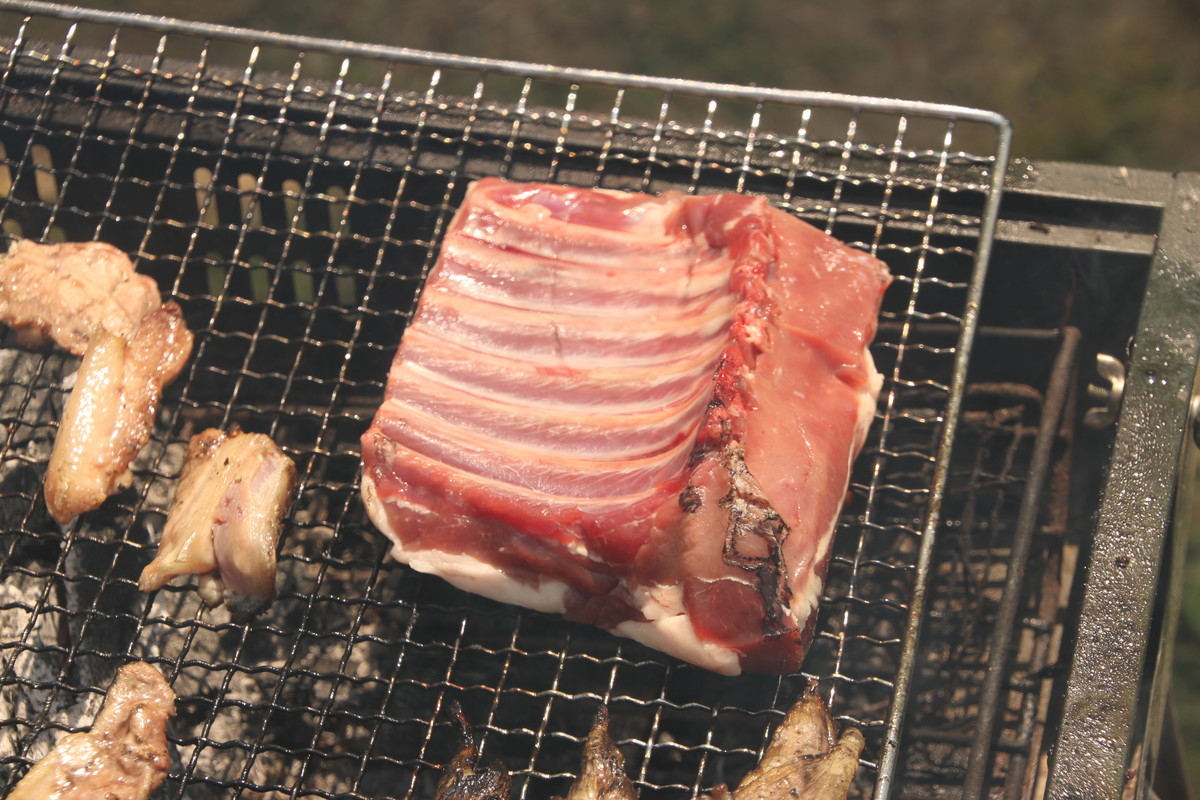 f:id:kab-log:20190420123130j:plain