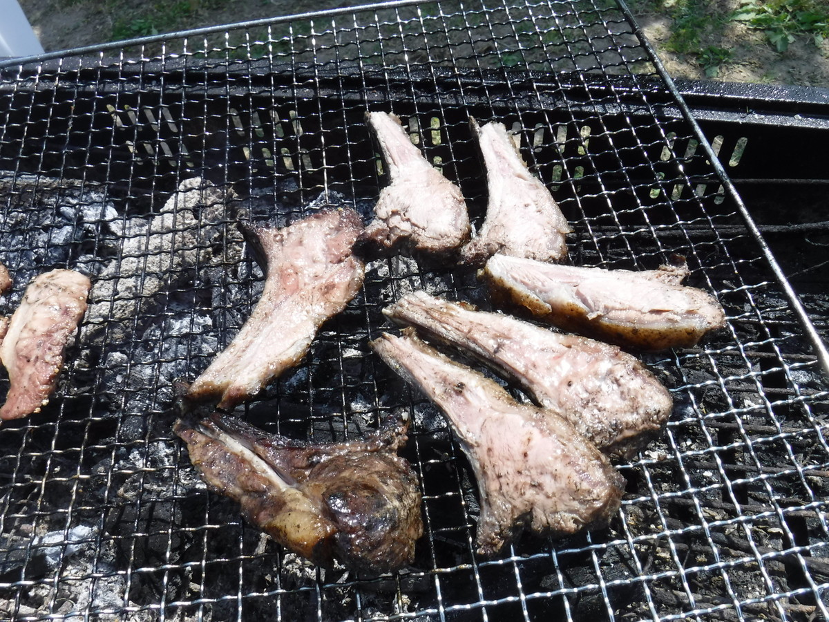 f:id:kab-log:20190420125157j:plain