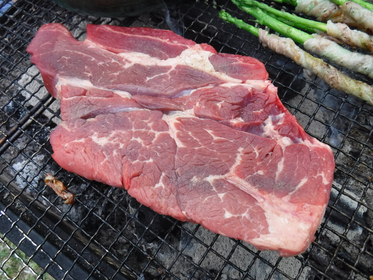 f:id:kab-log:20190428125506j:plain
