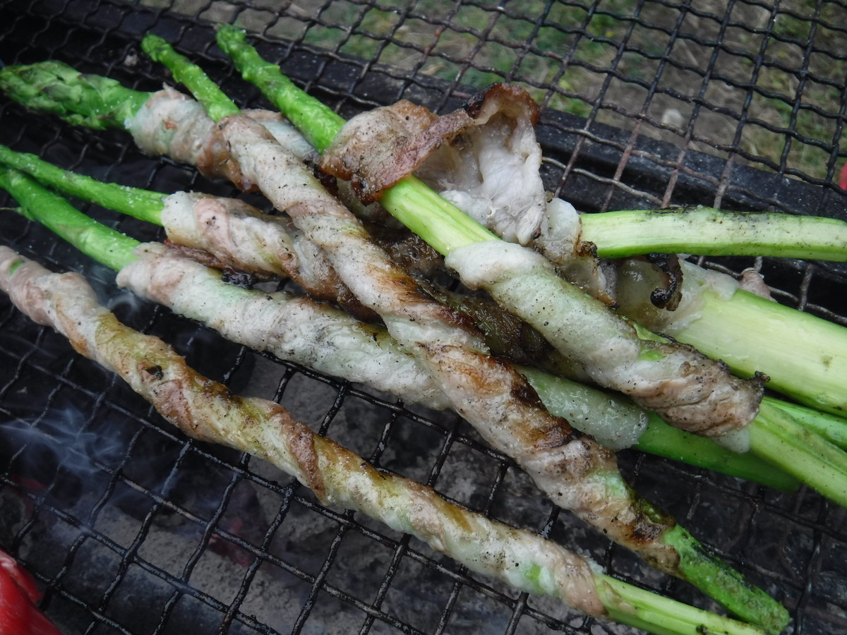 f:id:kab-log:20190428125510j:plain