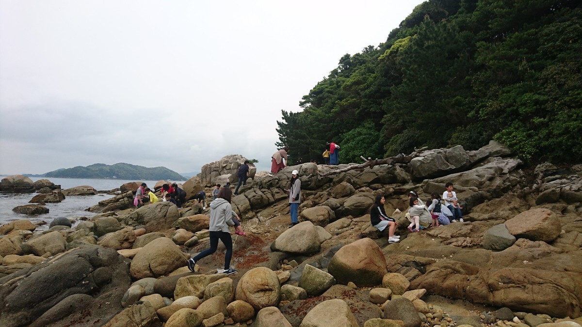 f:id:kab-log:20190501140035j:plain f:id:kab-log:20190501140035j:plain