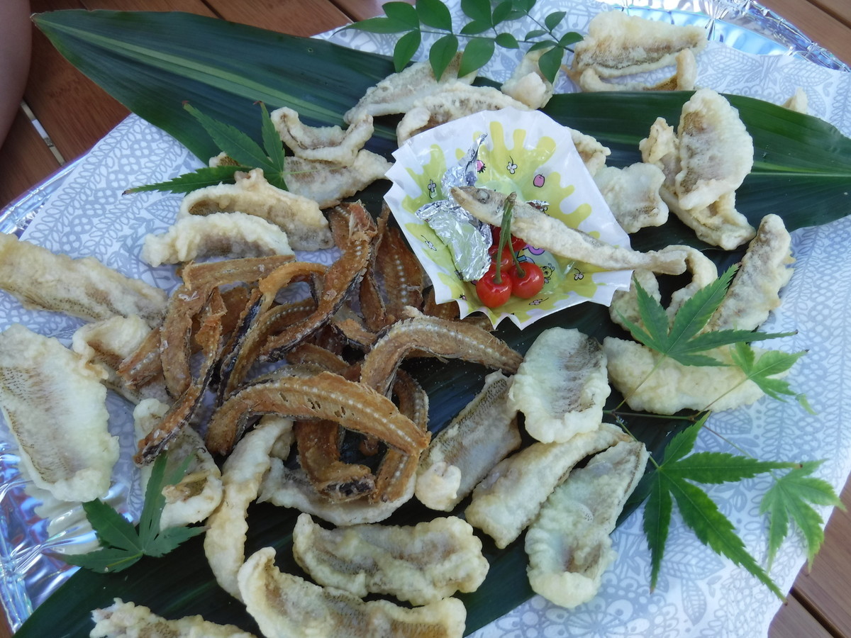 f:id:kab-log:20190505112553j:plain