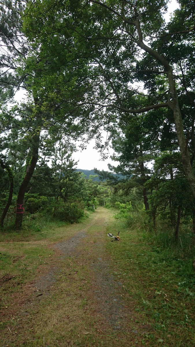 f:id:kab-log:20190519083848j:plain