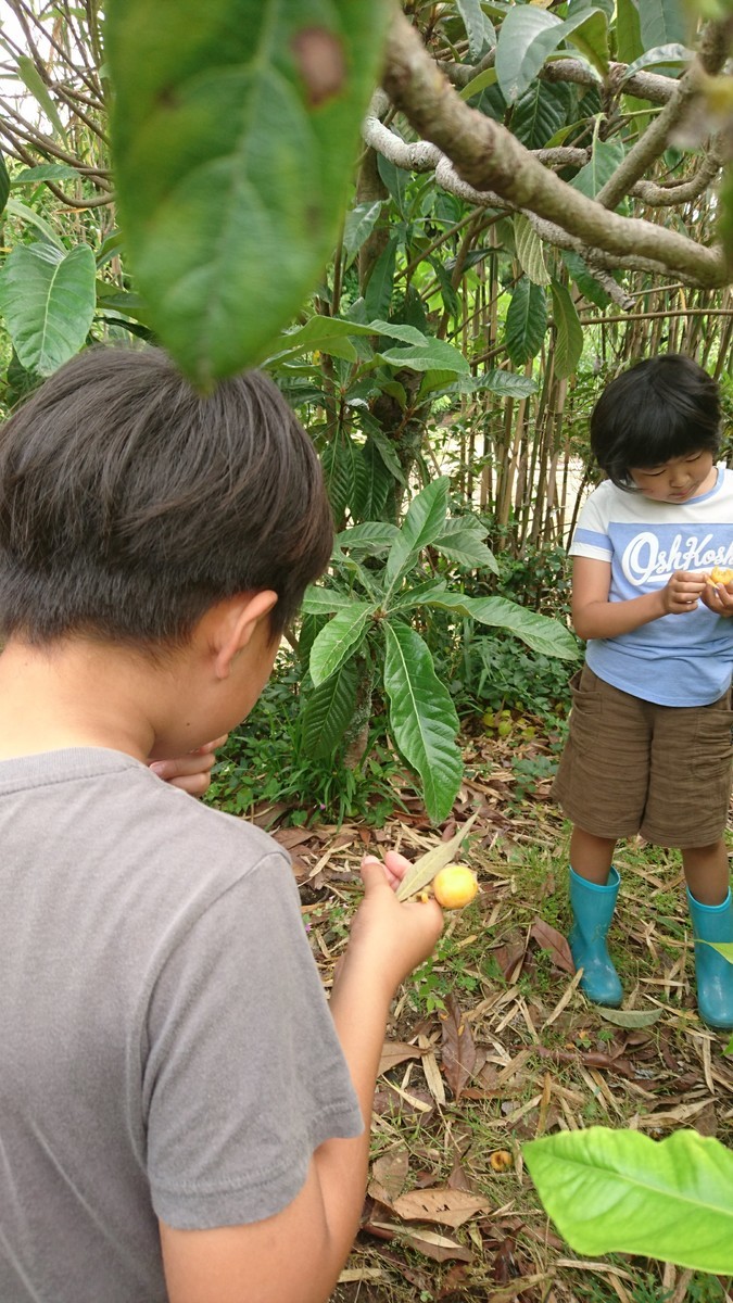 f:id:kab-log:20190519084358j:plain