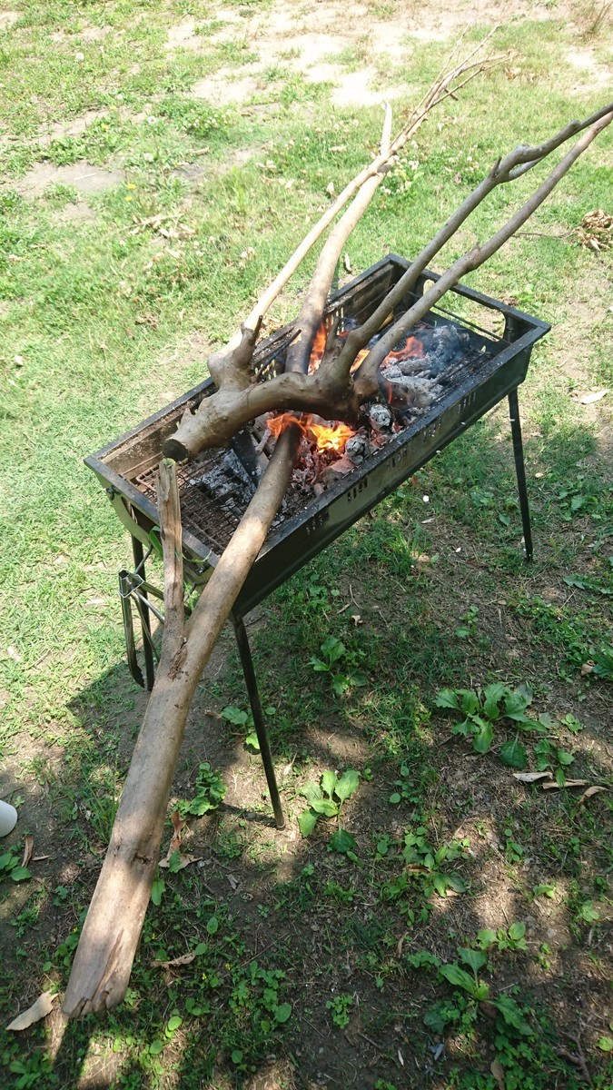 f:id:kab-log:20190601104921j:plain f:id:kab-log:20190601104921j:plain