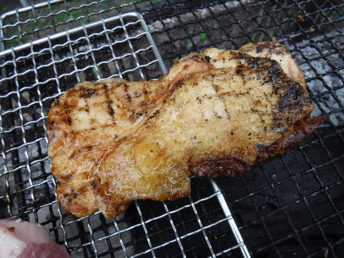 f:id:kab-log:20190601122506j:plain f:id:kab-log:20190601122506j:plain