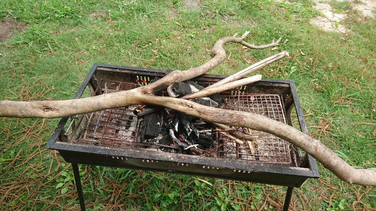 f:id:kab-log:20190609105540j:plain f:id:kab-log:20190609105540j:plain