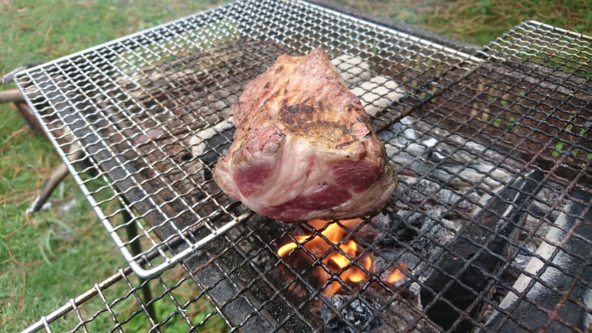 f:id:kab-log:20190609113016j:plain f:id:kab-log:20190609113016j:plain
