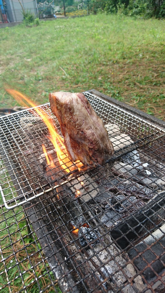 f:id:kab-log:20190609113055j:plain f:id:kab-log:20190609113055j:plain