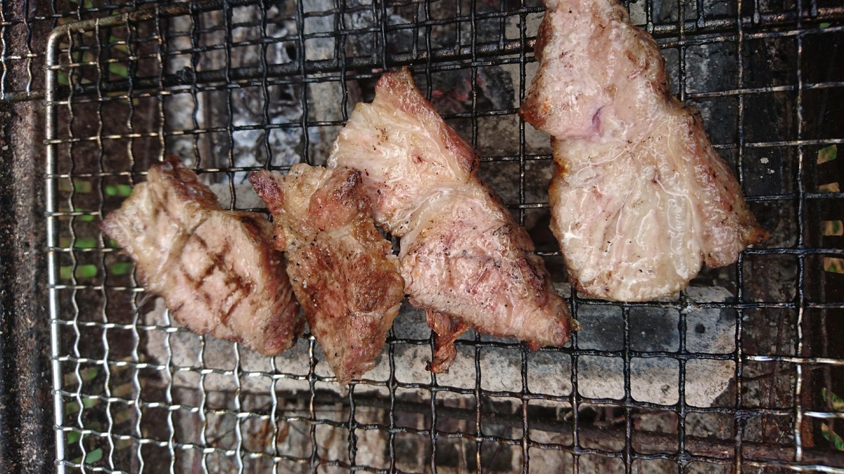 f:id:kab-log:20190609114114j:plain f:id:kab-log:20190609114114j:plain