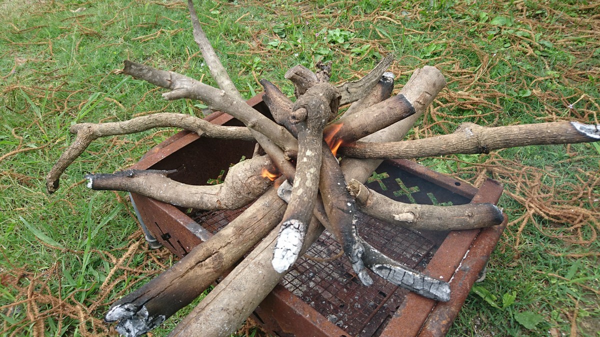 f:id:kab-log:20190609115540j:plain f:id:kab-log:20190609115540j:plain