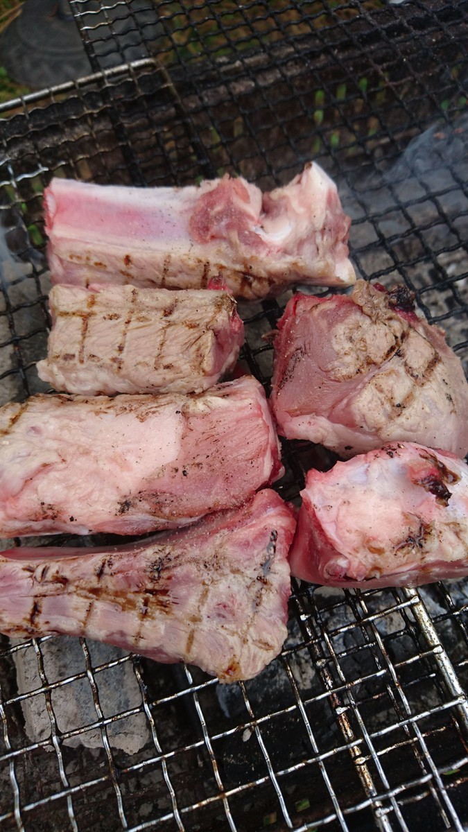 f:id:kab-log:20190609120054j:plain f:id:kab-log:20190609120054j:plain