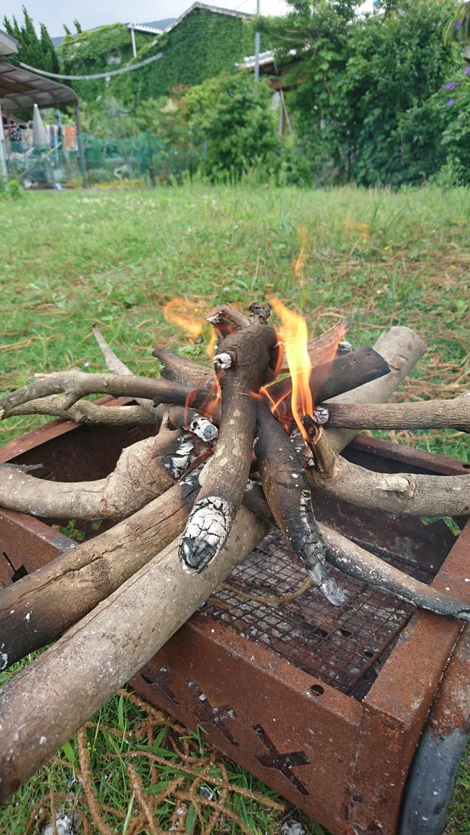 f:id:kab-log:20190609120216j:plain f:id:kab-log:20190609120216j:plain