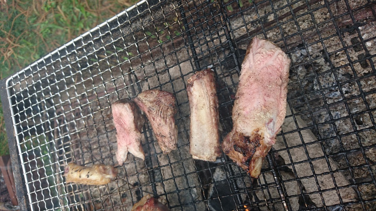 f:id:kab-log:20190609120939j:plain f:id:kab-log:20190609120939j:plain