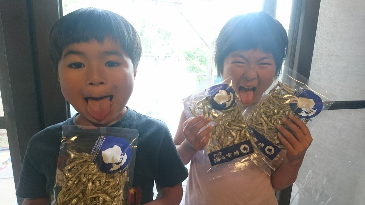 f:id:kab-log:20190610172132j:plain