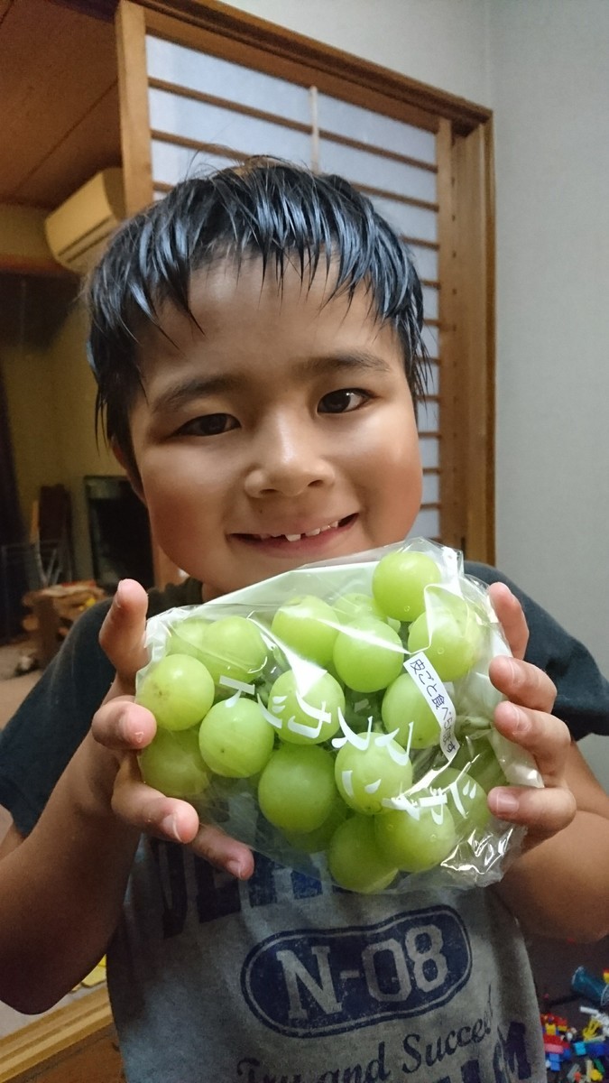 f:id:kab-log:20190731185434j:plain