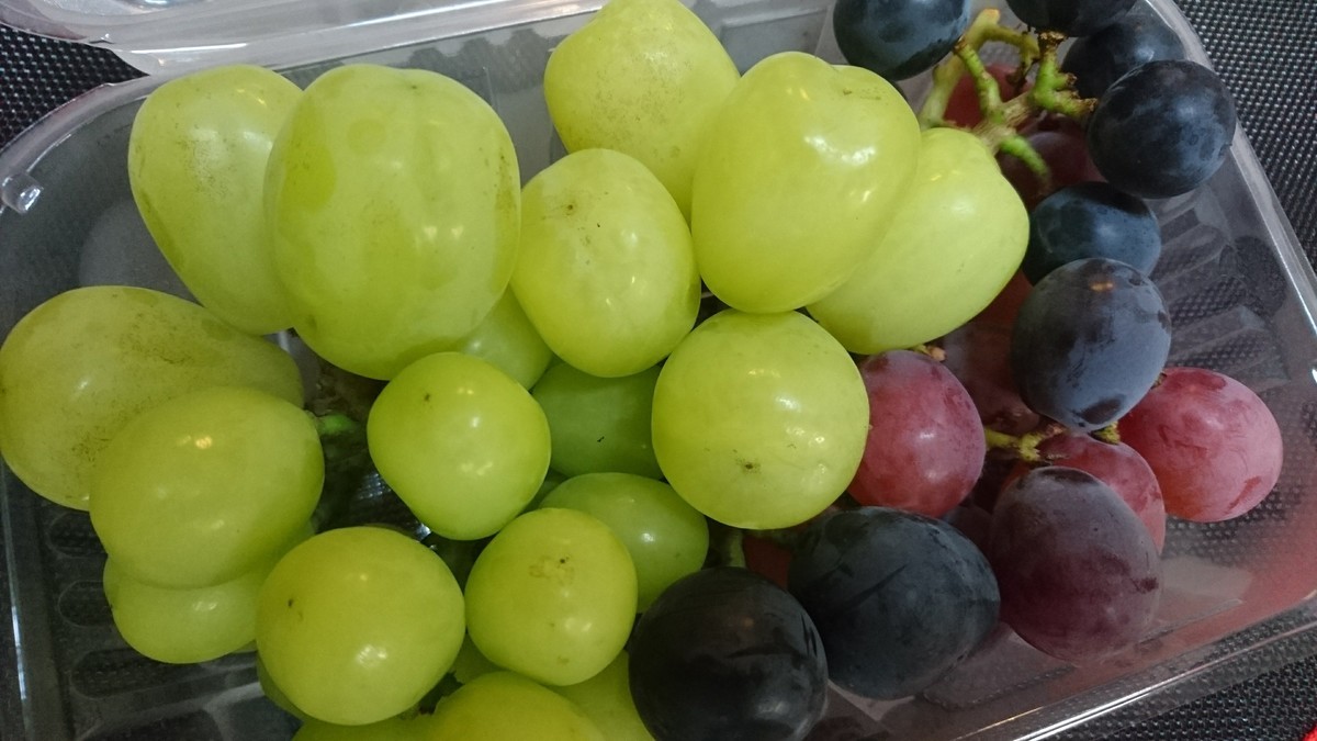 f:id:kab-log:20190731185504j:plain