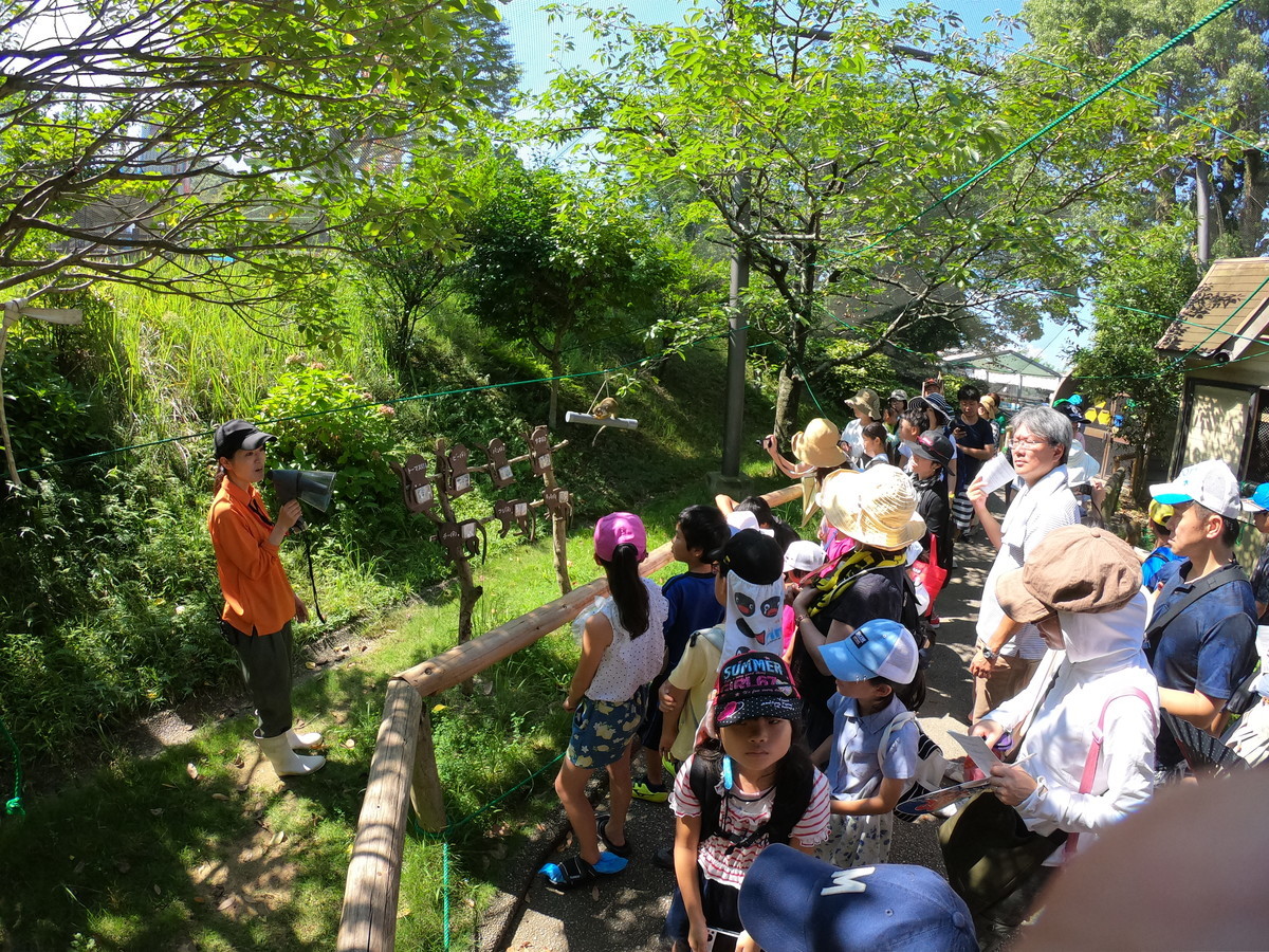 f:id:kab-log:20190804100249j:plain f:id:kab-log:20190804100249j:plain