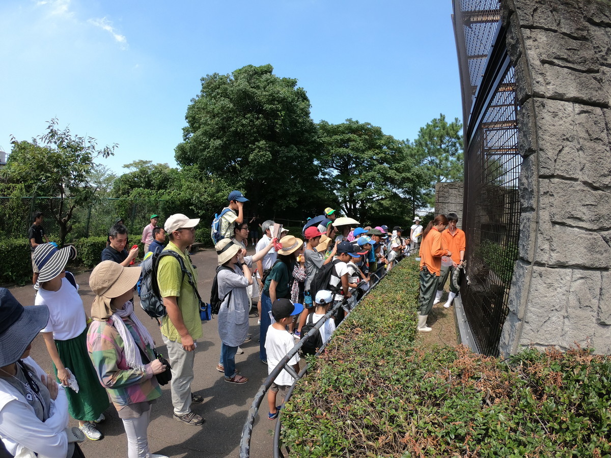 f:id:kab-log:20190804103614j:plain f:id:kab-log:20190804103614j:plain