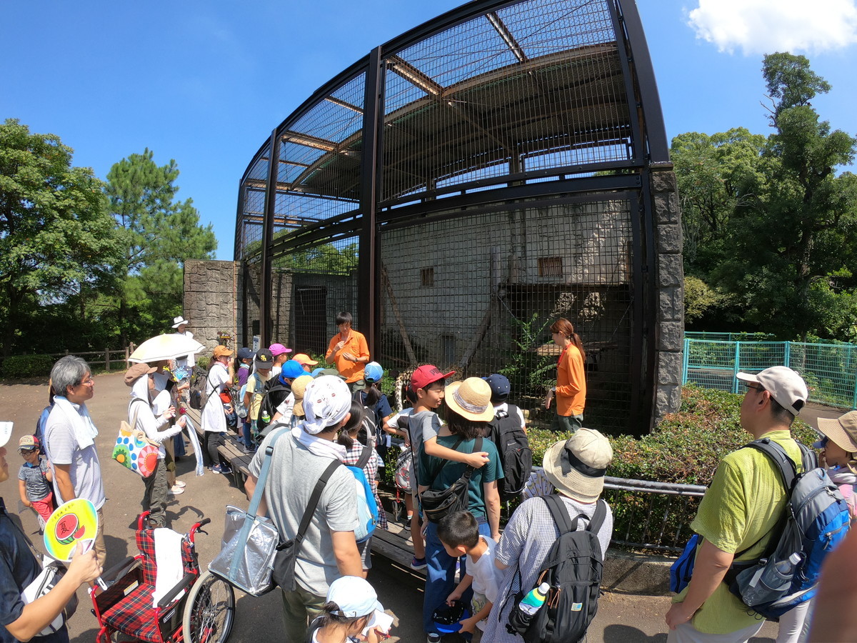 f:id:kab-log:20190804103837j:plain f:id:kab-log:20190804103837j:plain