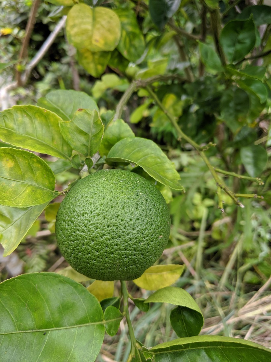 f:id:kab-log:20190818144047j:plain