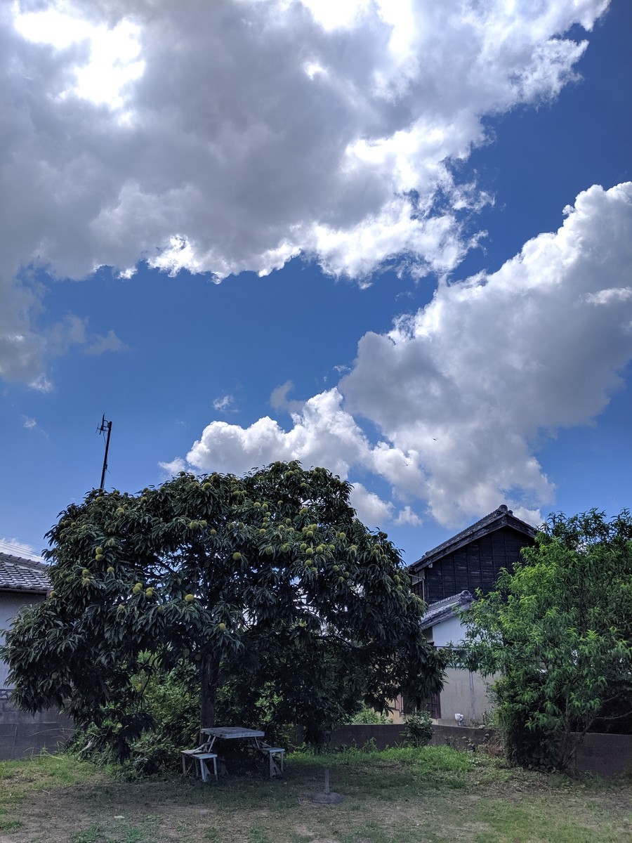 f:id:kab-log:20190908125555j:plain f:id:kab-log:20190908125555j:plain