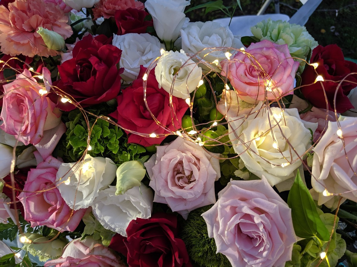 f:id:kab-log:20190915182537j:plain f:id:kab-log:20190915182537j:plain