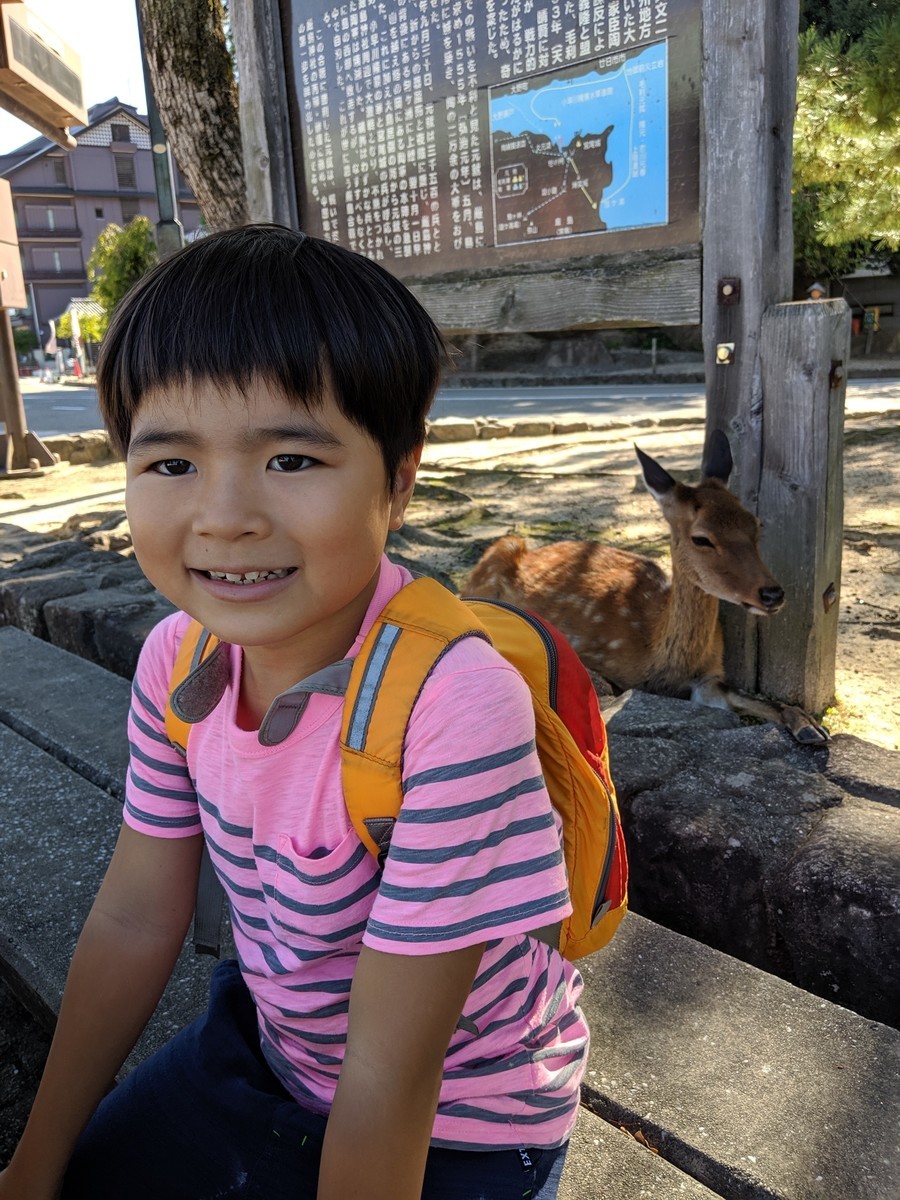 f:id:kab-log:20190916090821j:plain f:id:kab-log:20190916090821j:plain