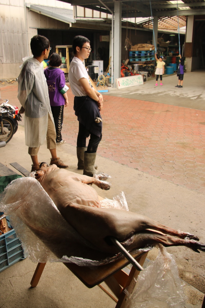 f:id:kab-log:20190923100602j:plain