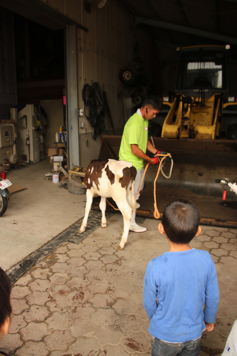 f:id:kab-log:20190923123010j:plain