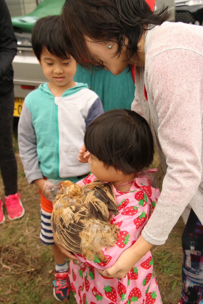 f:id:kab-log:20191006104847j:plain