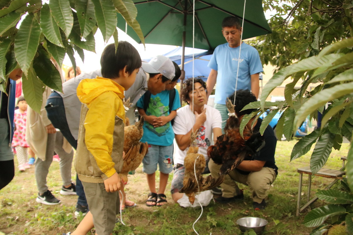 f:id:kab-log:20191006110101j:plain