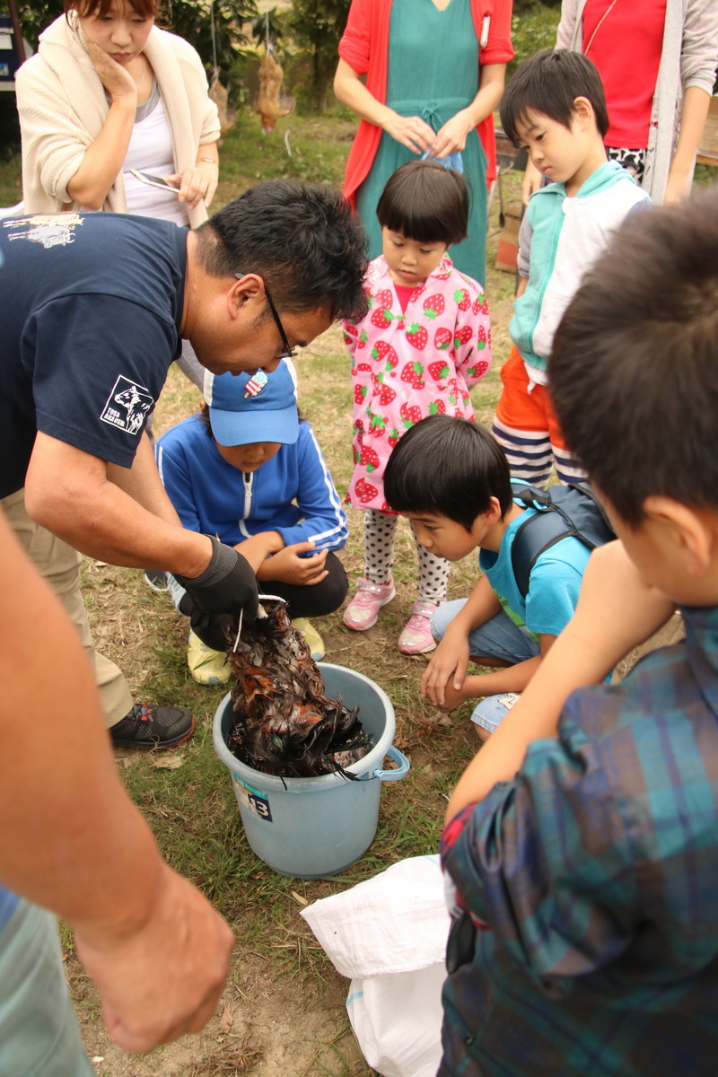 f:id:kab-log:20191006112955j:plain