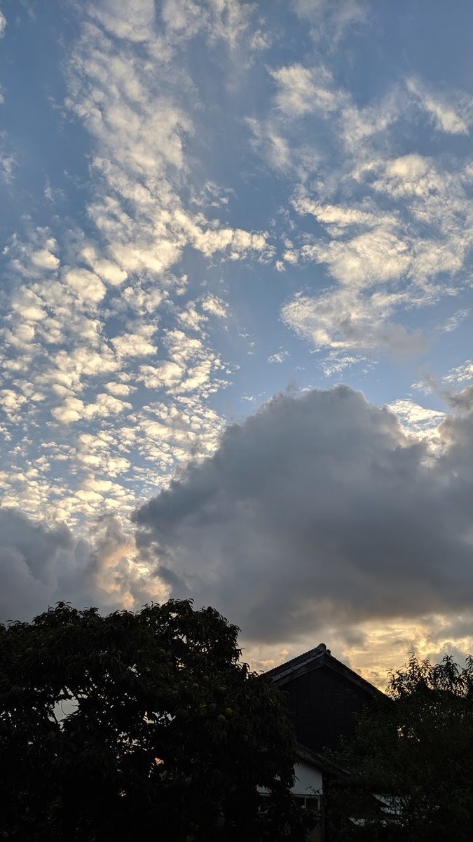 f:id:kab-log:20191008173514j:plain